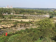 -都江堰玫瑰花溪谷