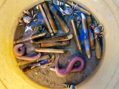 -北海金海湾红树林生态旅游区