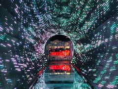 -正佳自然科学博物馆