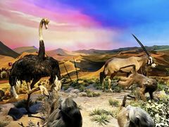 -国家自然博物馆