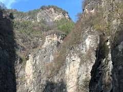 -王莽岭风景区