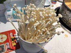 -濠七糟粕醋•海南酸汤火锅(中关村店)