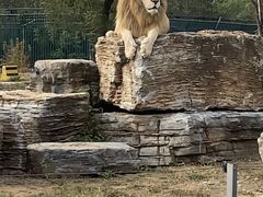 -秦皇岛野生动物园