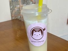 -楼上猫咖(罗湖店)
