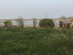 -盐城丹顶鹤湿地生态旅游区