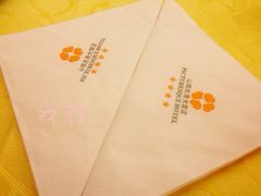 -山明水秀大饭店