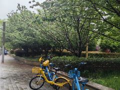 -星巴克(花木plus乐坊店)