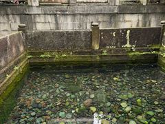 -王氏凉糕(总店)