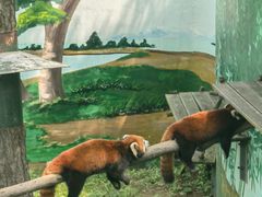 -西霞口神雕山野生动物世界