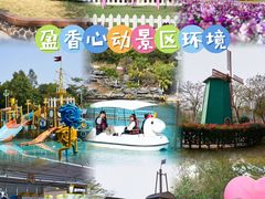 -盈香心动乐园