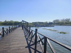 -溱湖国家湿地公园