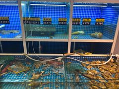 -金龙·打边炉(南京西路店)