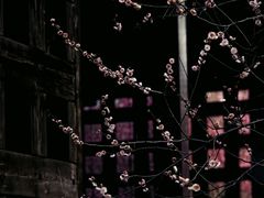 -成都杜甫草堂博物馆