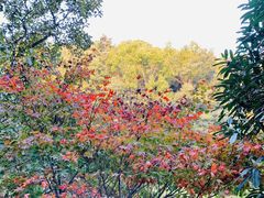 -杭州半山国家森林公园