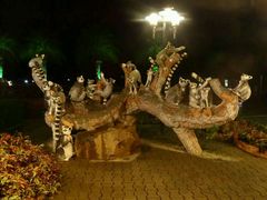-清迈夜间动物园
