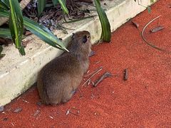 -广州长隆野生动物世界