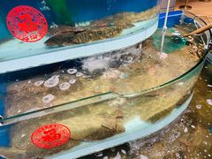 -盒马鲜生(杭州运河上街店)