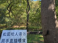 -北陵公园
