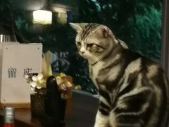 -咖法森林·咖啡  酒吧(天河店)