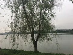 -东莞植物园