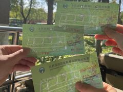 -合肥滨湖国家森林公园