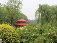 -济南植物园