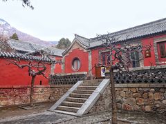 -泰山风景名胜区-普照寺