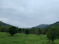 -十碗头(诚信路店)