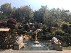 -七彩云南古滇温泉山庄