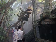 -青青世界