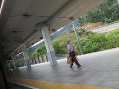 -惠阳站