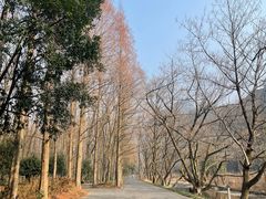-五泄景区