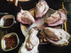 -蚝堡·生蚝海鲜烧烤物种起源•海肠捞饭(刘公岛店)