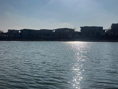 -羊山湖公园