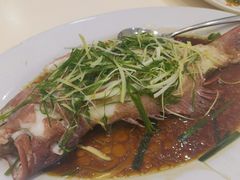 -凤城礼记鱼翅海鲜酒家(新马路总店)