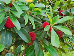 -呼吸森林·生态农庄农家乐私房菜