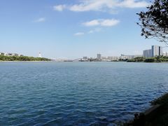 -五缘湾湿地公园