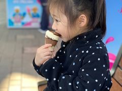-迪拜乐高乐园