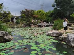 -苏州味道(阳澄湖服务区店)