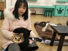 -萌喵咖啡屋(人民东路4号口M16商铺店)