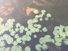 -宝盛水博园大酒店·中餐厅·杭帮菜