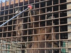 -水上乐园·欢乐世界