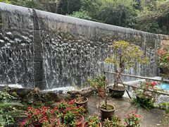 -青青世界