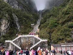 -印象鲵宴·张家界地标美食名片(溪布街店)