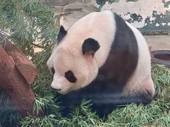 -知味观·味庄(杨公堤店)