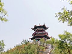 -南大港湿地风景区