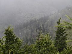 -灵山