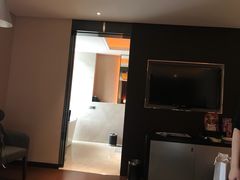 -成都明宇丽雅饭店