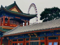 -天津大悲禅院