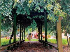 -上海闵行区阶梯吉美幼儿园